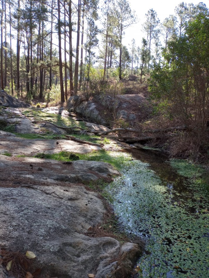 Vendo 4 lotes/ hectarea -Yacanto Calamuchita desde 9000m2 