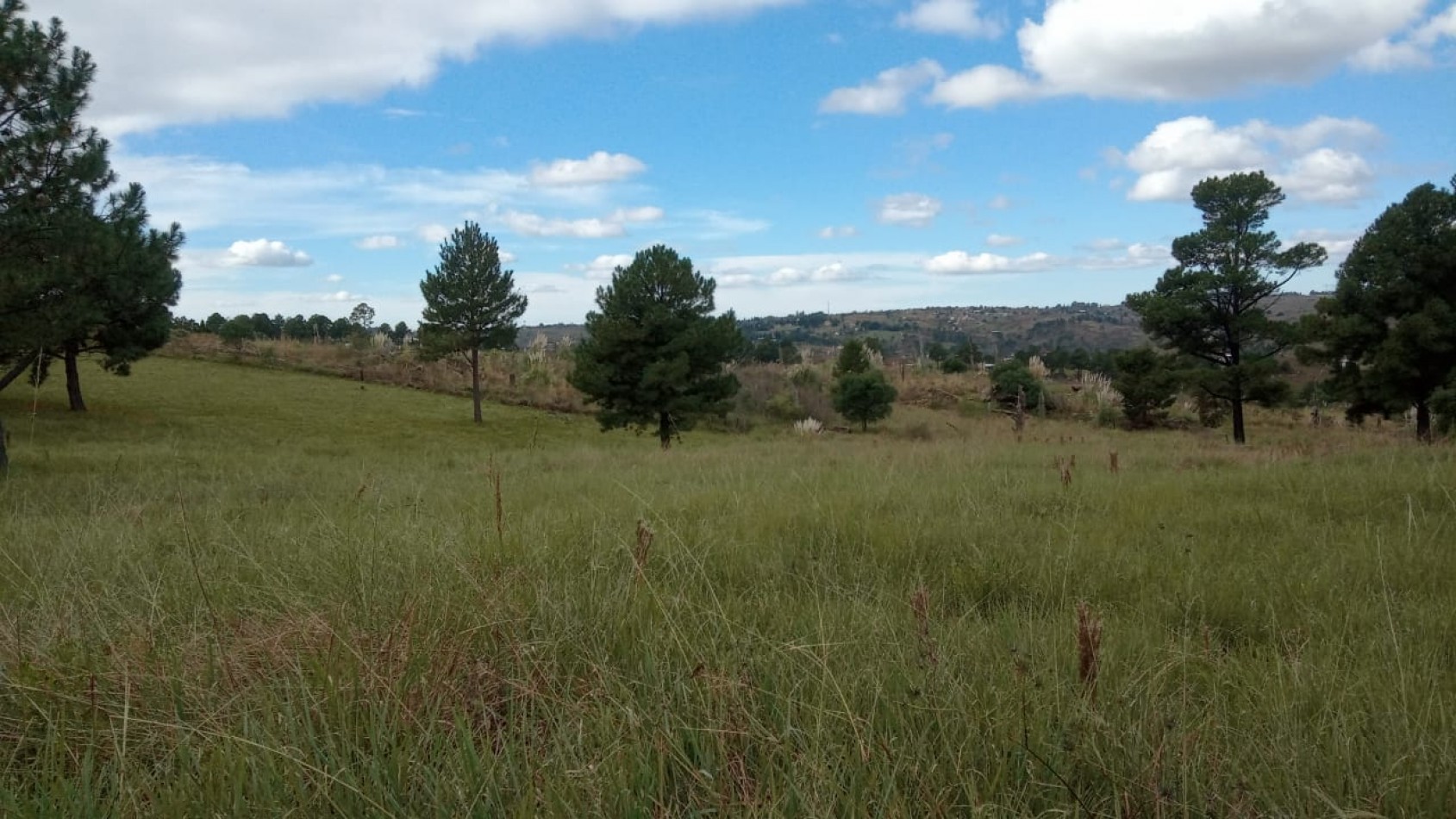 Vendo 4 lotes/ hectarea -Yacanto Calamuchita desde 9000m2 