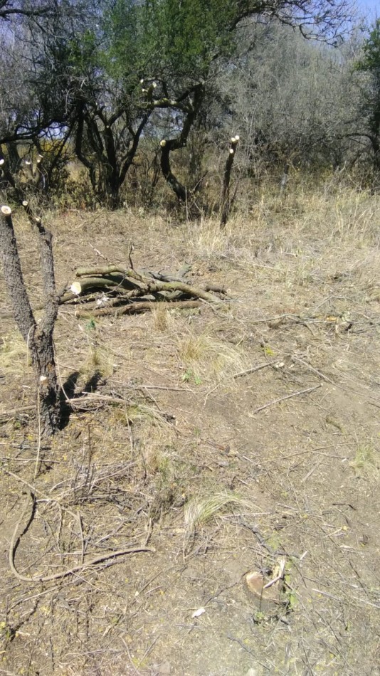 OPORTUNIDAD LOTE A 7 CUADRAS PLAZA DE LA PAZ