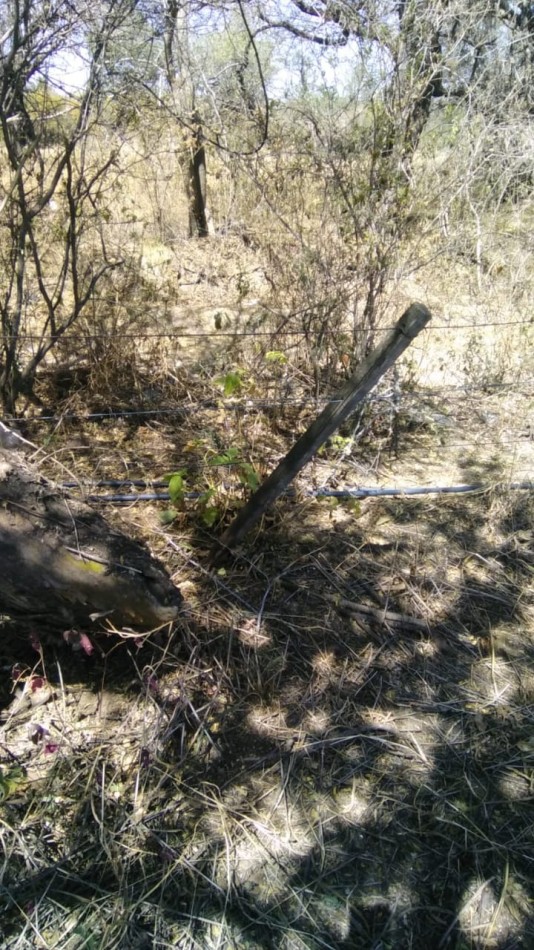 OPORTUNIDAD LOTE A 7 CUADRAS PLAZA DE LA PAZ