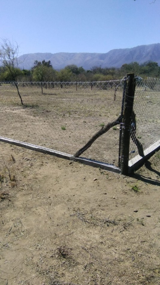 OPORTUNIDAD LOTE A 7 CUADRAS PLAZA DE LA PAZ