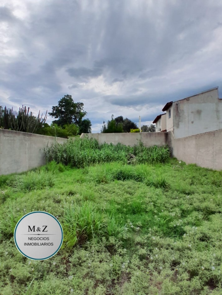 LOTE PARA PROYECTO