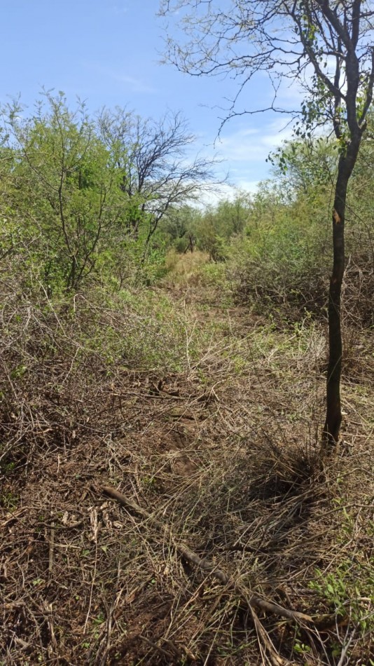VENDE LOTE EN LUYABA