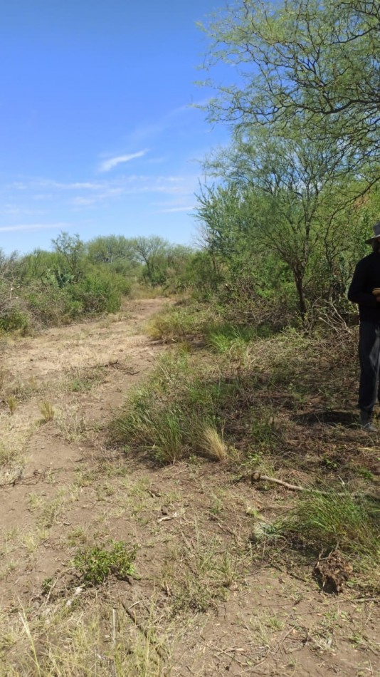 VENDE LOTE EN LUYABA