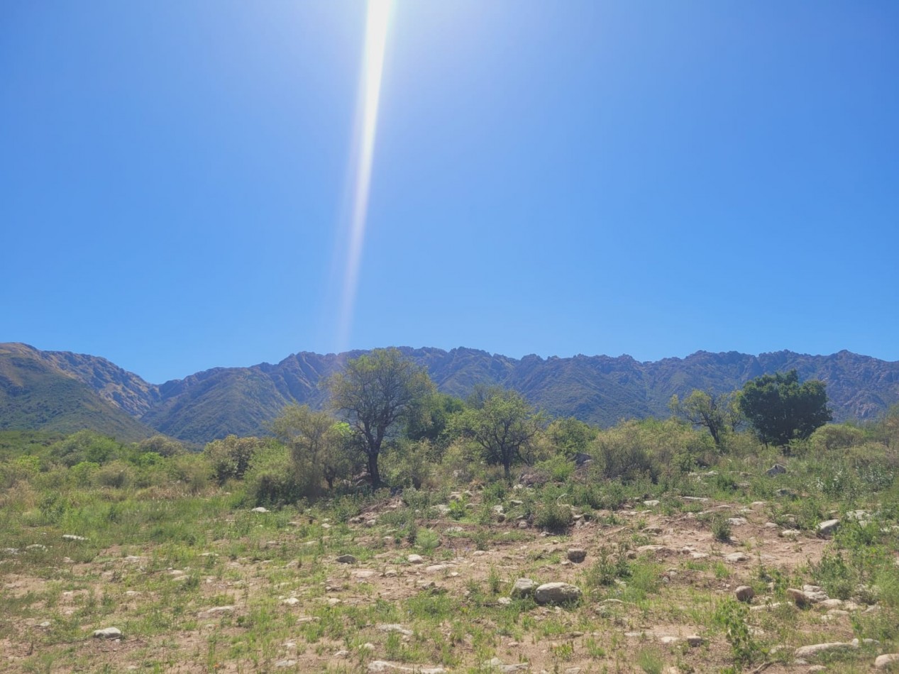 VENDE LOTE EN CORTADERAS ARROYO BENITEZ